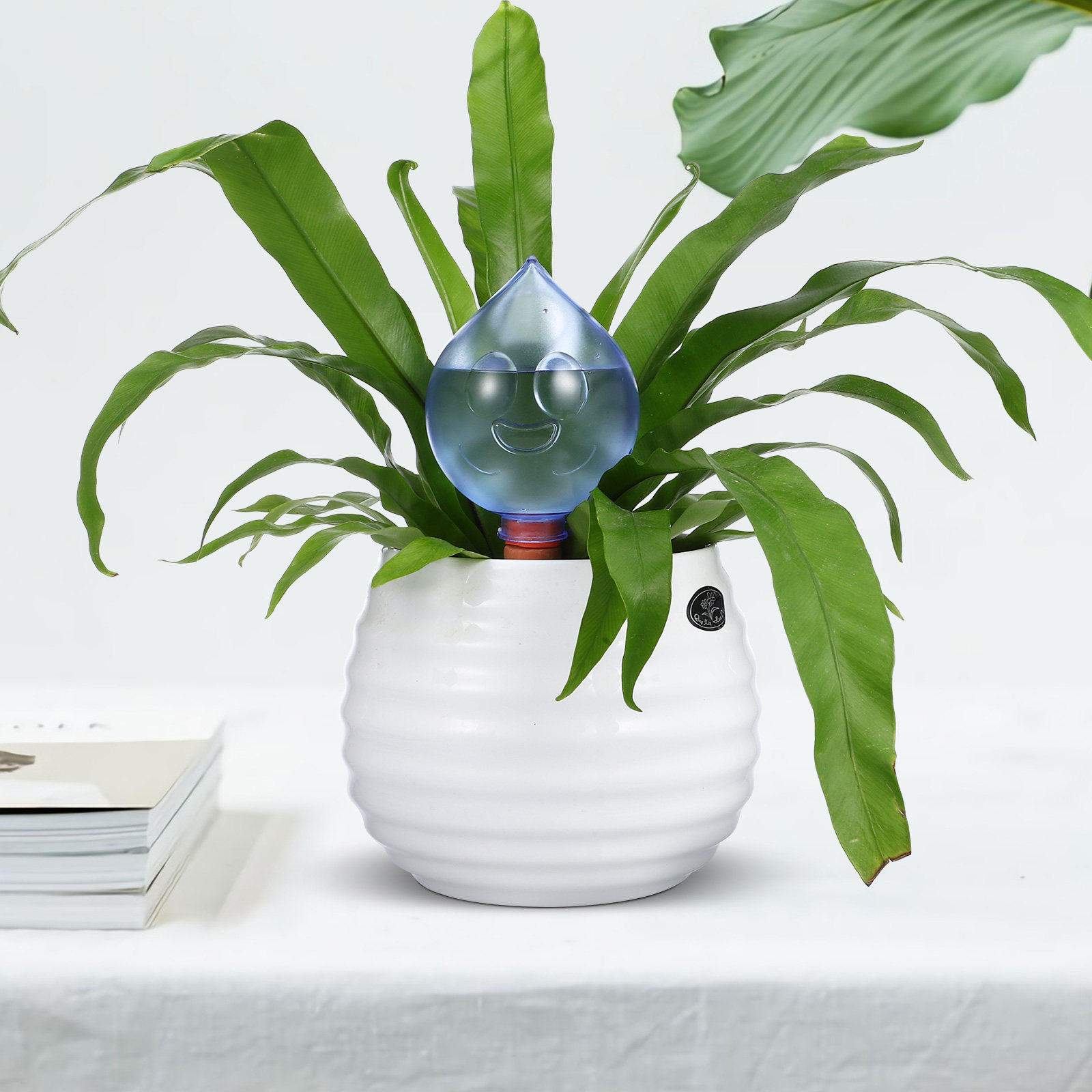 3Pcs Automatic Watering Globes - Self Watering Insert recension och pris