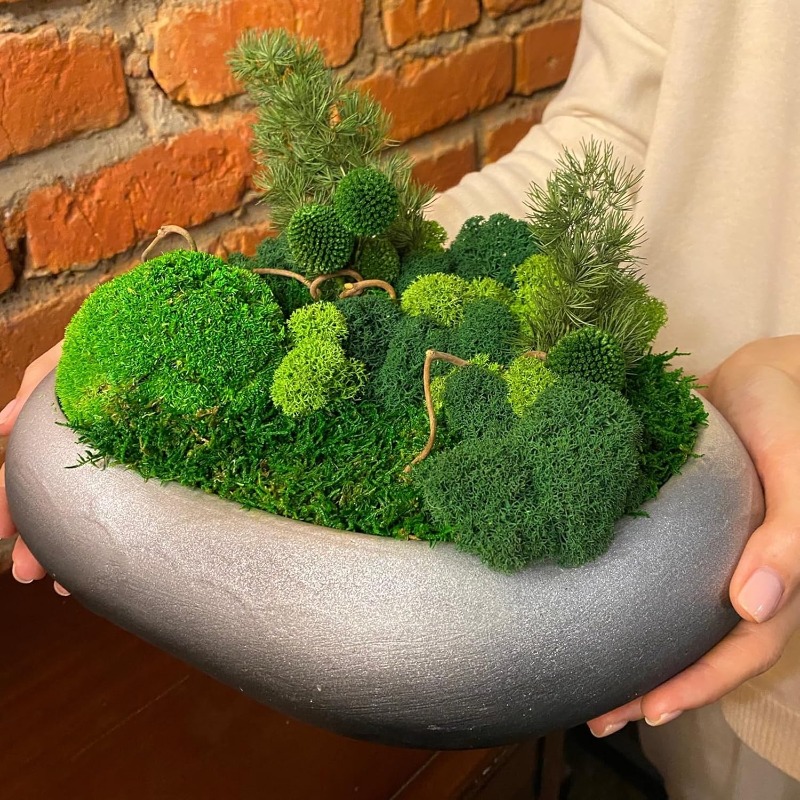 Artificial Green Moss Plants D - Sphagnum Moss Dry recension och pris