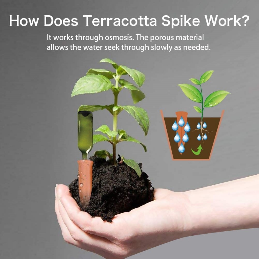 8 PCS Self Watering Terracotta - Self Watering Insert recension och pris